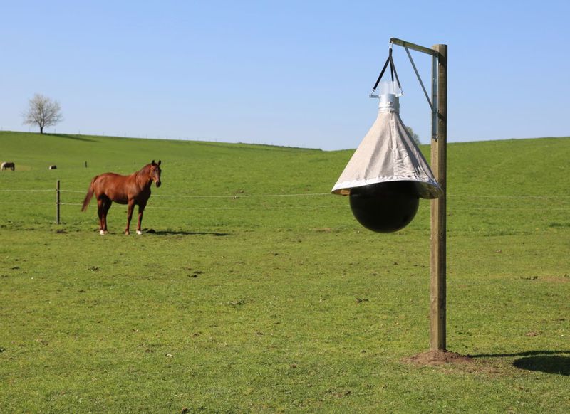 Kerbl Insektsfelle Taon-X Eco Gadfly Trap 5000m2